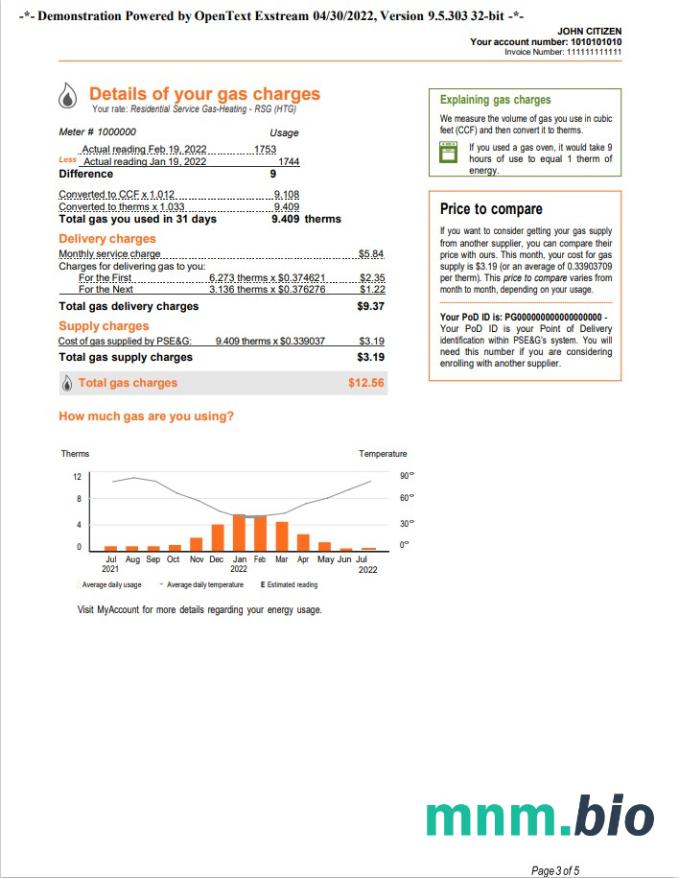 USA New York PSEG rachunek za media, Word i PDF template, 5 strony 3